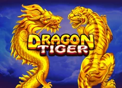 Dragon Tiger Slot